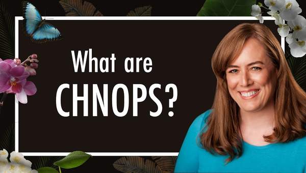 What are CHNOPS? These Chemical Elements = 98% of Life | Biology | Biochemistry