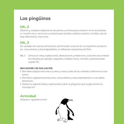 Ejemplo Evaluación Programas - OA02 - OA03 - Los pingüinos