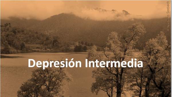 Depresión intermedia de Chile