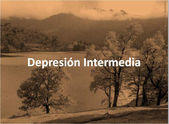Depresión intermedia de Chile
