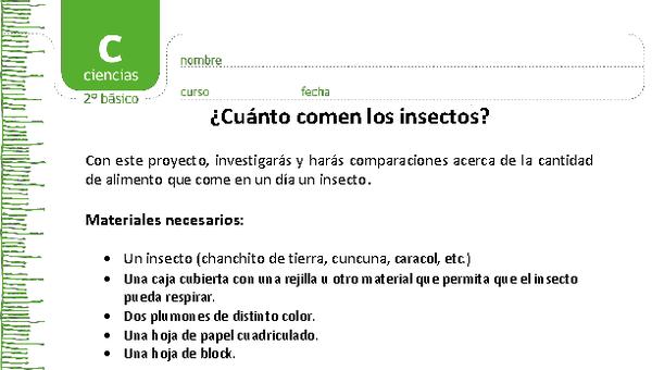 ¿Cuánto comen los insectos?