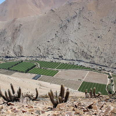 Paihuano Elqui
