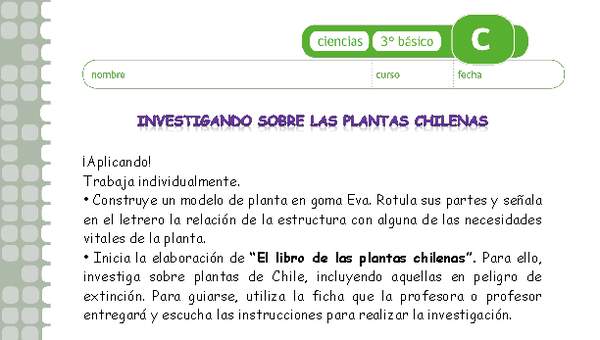 Investigando sobre las plantas chilenas