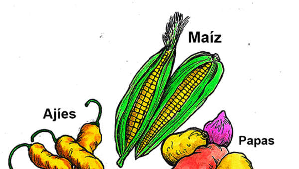 Productos agrícolas incas