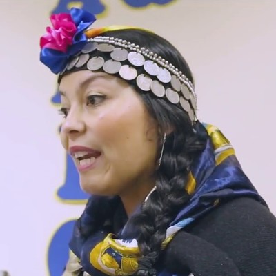 Clase sobre instrumentos mapuches / Escuela Santa María de Guadalupe 2017